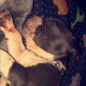 Meet your Posher, Kenzie